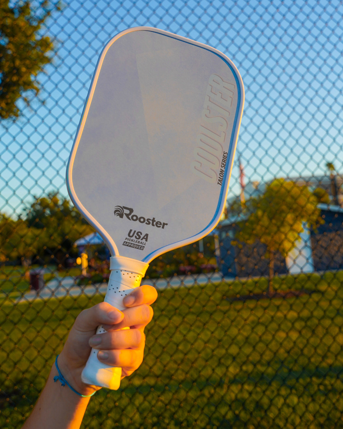 Coolster pickleball paddle